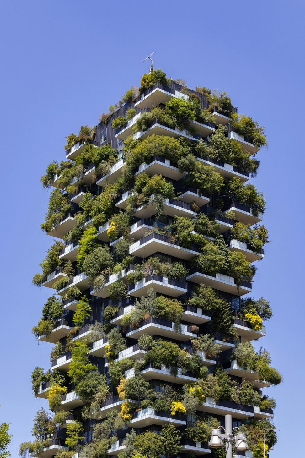 Sustainable Construction